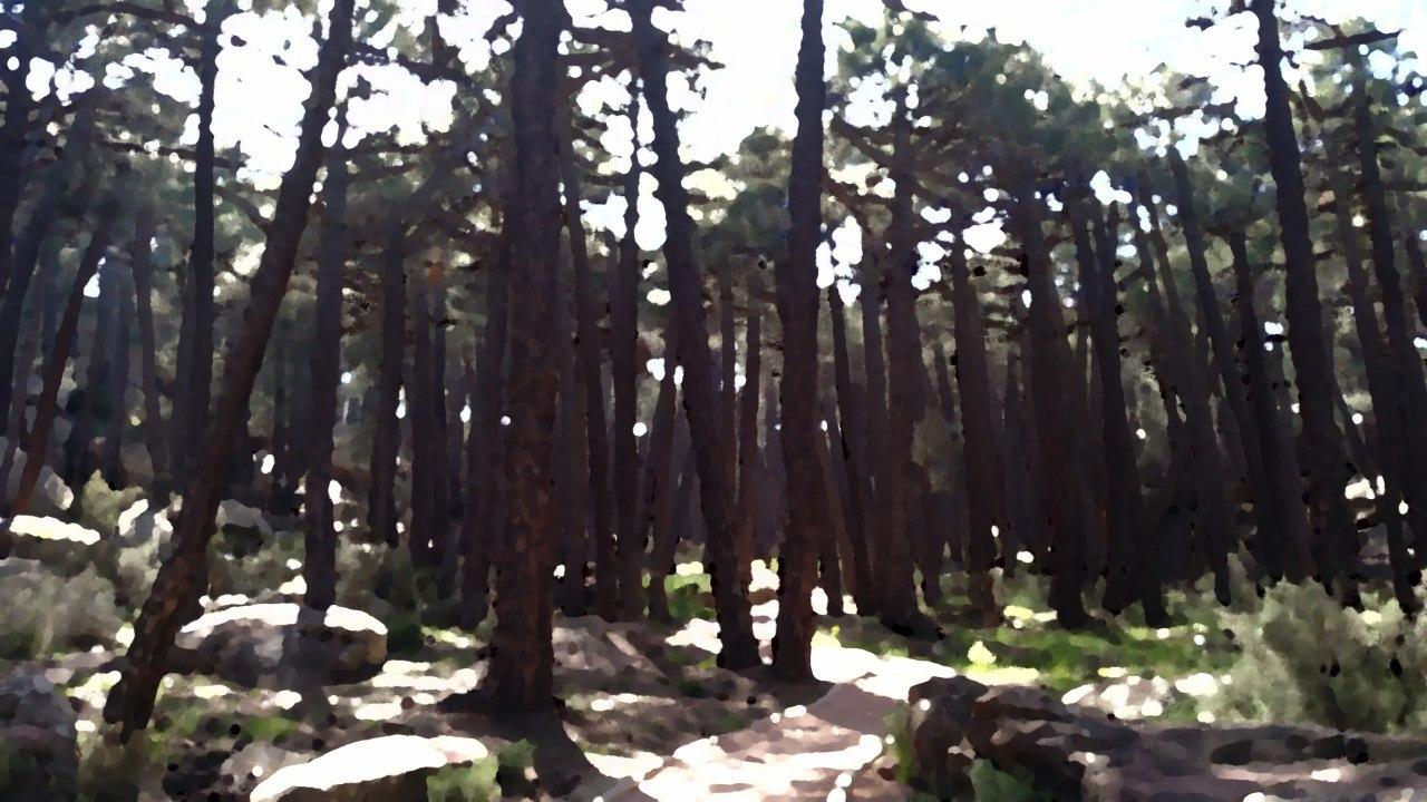 Por si me muero Juan Trece